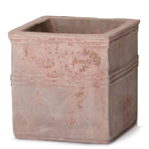 �ԁE�ϗt�A���p�|�b�g �e���A�X�g�� �J�y���L���r S 9��/A�i1����jas-fq6x09e [KTp277] ���^�|�b�g �i������s�j�z�e���E�I�t�B�X�r���E�X�� �G�N�X�e���A �C���e���A