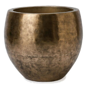 ԁEϗtAp|bg A[ KC L 43/B AeB[NS[hi1jaw-003g43e [KTp241] ^Jo[ isjzeEItBXrEX CeA fBXvC