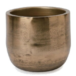 ԁEϗtAp|bg A[ J[t S 31/A AeB[NS[hi1jaw-004g31e [KTp241] ^Jo[ isjzeEItBXrEX CeA fBXvC