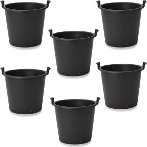 ԁEϗtAp|bg i[Z[|bg nht 50S ubNi6jbn-bb1k05s [KTp265] |pi isjzeEItBXrEX K[fjO