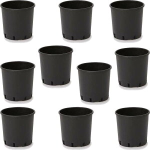 ԁEϗtAp|bg i[Z[|bg nhȂ 35 ubNi10jbn-bb2k035 [KTp265] |pi isjzeEItBXrEX K[fjO