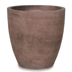 ԁEϗtAp|bg R[eX Eh XS 22/A uEi1jct-101r07e [KTp169] ^|bg isjzeEItBXrEX CeA GNXeA