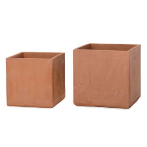 �ԁE�ϗt�A���p�|�b�g �C�[�V���[�Y E-BX1 2/SET M/S�iMS�e1����v2�Z�b�g�jes-bx1x2se [KTp323] M�ES�Z�b�g �i������s�j�z�e���E�I�t�B�X�r���E�X�� �G�N�X�e���A �K�[�f��