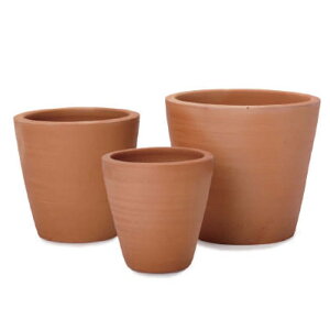 �ԁE�ϗt�A���p�|�b�g �C�[�V���[�Y E-23 3/SET L/M/S�iLMS�e1����v3�Z�b�g�jes-e23x3se [KTp323] L�EM�ES�Z�b�g �i������s�j�z�e���E�I�t�B�X�r���E�X�� �G�N�X�e���A �K�[�f��