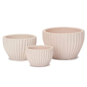 �ԁE�ϗt�A���p�|�b�g �C�[�V���[�Y E-40W ���y�ĕt 3/SET L/M/S�iLMS�e1����v3�Z�b�g�jes-e40w3se [KTp321] L�EM�ES�Z�b�g �i������s�j�z�e���E�I�t�B�X�r���E�X�� �G�N�X�e���A �K�[�f��