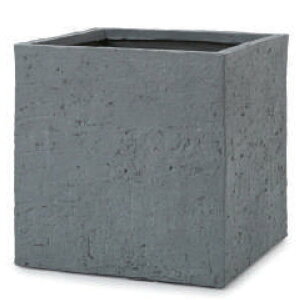 ԁEϗtAp|bg t@Co[NC x[^ L[uv^[ xAbN S 36/A O[i1jfm-002g36g [KTp195] ^v^[ isjzeEItBXrEX Ce