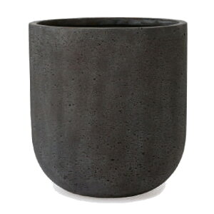 ԁEϗtAp|bg t@Co[Xg[ oS COjAX M 40/A`R[i1jfs-g03c40e [KTp121] ^Jo[ isjzeEItBXrEX CeA GNXeA