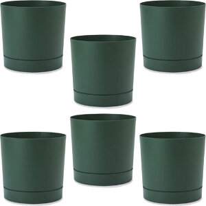 ԁEϗtAp|bg vXp[ gD[{ XS 18/A pCO[i6jpp-tu1g18e [KTp249] ^|bg Mt isjzeEItBXrEX GNXeA CeA