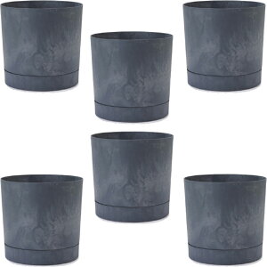 ԁEϗtAp|bg vXp[ gD[{ B XS 18/A }Si6jpp-tu1h18e [KTp251] ^|bg Mt isjzeEItBXrEX GNXeA CeA