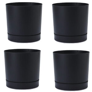 ԁEϗtAp|bg vXp[ gD[{ S 24/A AXTCgi4jpp-tu1k24e [KTp249] ^|bg Mt isjzeEItBXrEX GNXeA CeA