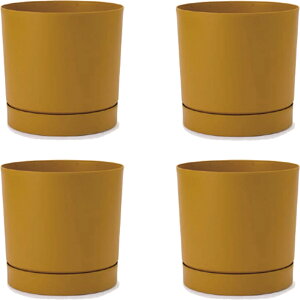 ԁEϗtAp|bg vXp[ gD[{ S 24/A }X^[hi4jpp-tu1y24e [KTp249] ^|bg Mt isjzeEItBXrEX GNXeA CeA