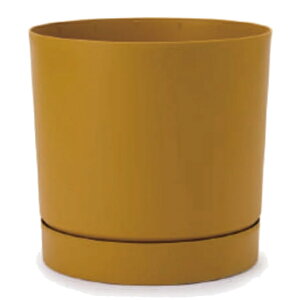 ԁEϗtAp|bg vXp[ gD[{ L 35/A }X^[hi1jpp-tu1y35e [KTp249] ^|bg Mt isjzeEItBXrEX GNXeA CeA