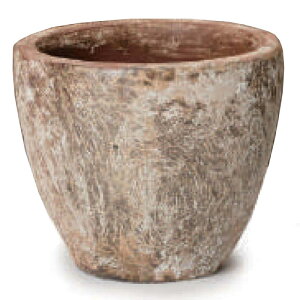 ԁEϗtAp|bg ArX ArXlu Eh S 12/Ai1jab-r47w12e [KTp343] ^|bg isjzeEItBXrEX GNXeA CeA