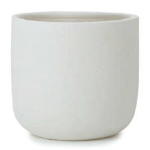 ԁEϗtAp|bg [Pg [|bg M 6p ItzCgi1jlc-001w26v [KTp365] ^|bg isjzeEItBXrEX CeA fBXvC