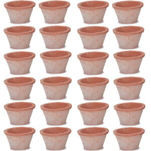 ԁEϗtAp|bg X|bg X^_[h ԓy XS 3 ԁi24jms-100r03e [OLp327] ~j|bg isjzeEItBXrEX GNXeA K[f