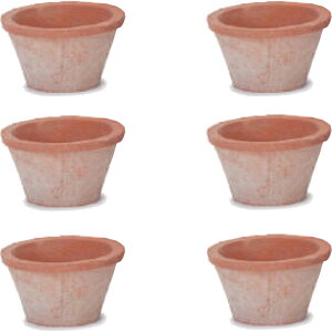 ԁEϗtAp|bg X|bg X^_[h ԓy M 6 ԁi6jms-100r06e [OLp327] ^|bg isjzeEItBXrEX GNXeA K[f