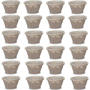 ԁEϗtAp|bg X|bg X^_[h AeB[NzCg XS 3 i24jms-100w03e [KTp327] ~j|bg isjzeEItBXrEX GNXeA K[f