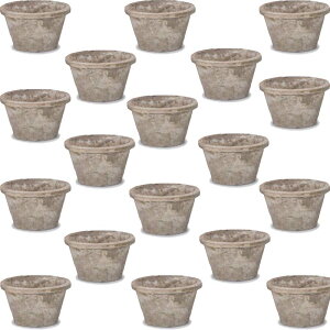 ԁEϗtAp|bg X|bg X^_[h AeB[NzCg S 5 i18jms-100w05e [KTp327] ^|bg isjzeEItBXrEX GNXeA K[f