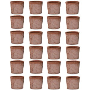 ԁEϗtAp|bg X|bg V_[ ԓy XS 3 ԁi24jms-700r03e [KTp329] ~j|bg isjzeEItBXrEX GNXeA K[f