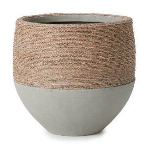 ԁEϗtAp|bg J XpOX RD S 26/Ai1jsg-sg1x26e [KTp407] ^Jo[ isjzeEItBXrEX CeA fBXvC