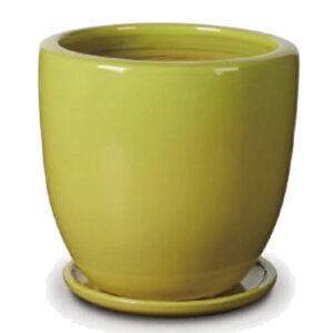 ԁEϗtAp|bg rg hDI M 12/A CG[ցi1jvt-r02y12p [KTp359] ^|bg Mt isjzeEItBXrEX GNXeA CeA