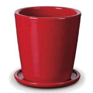 ԁEϗtAp|bg rg h[Z S 8/A bhցi1jvt-r10r08p [KTp361] ^|bg Mt isjzeEItBXrEX GNXeA CeA