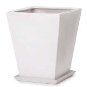 ԁEϗtAp|bg WY_ _ WY10 }bg MtZbg M 11/A i1jwy-010w11p [KTp371] ^|bg Mt isjzeEItBXrEX CeA fBXv