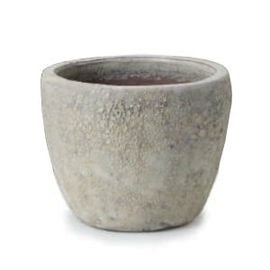 ԁEϗtAp|bg ArX\jA ~h S 10/A N[i1jab-ss1w10e [KTp341] ^|bg isjzeEItBXrEX GNXeA K[f