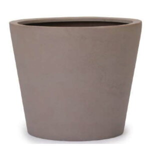 �ԁE�ϗt�A���p�|�b�g �}�O�i�X �L������ �R�j�b�N M 49/B �i1����jkol-mz4c49 [KTp37] ��^�|�b�g �i������s�j�z�e���E�I�t�B�X�r���E�X�� �G�N�X�e���A �K�[�f��