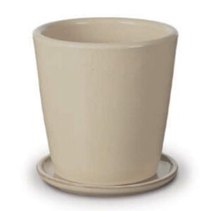 ԁEϗtAp|bg rg h[Z S 8/A AC{[ցi1jvt-r10v08p [KTp361] ^|bg Mt isjzeEItBXrEX GNXeA K[f