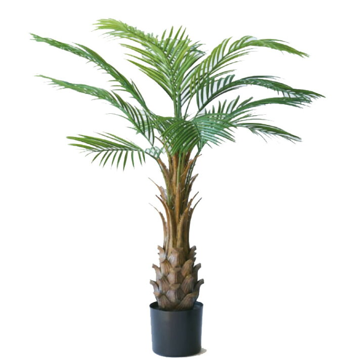 楽天市場】人工観葉植物 カナリーヤシ ポット 116（1個入り）MIRAKANA 