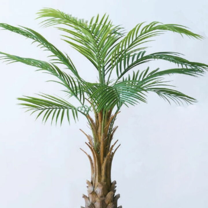 楽天市場】人工観葉植物 カナリーヤシ ポット 116（1個入り）MIRAKANA 