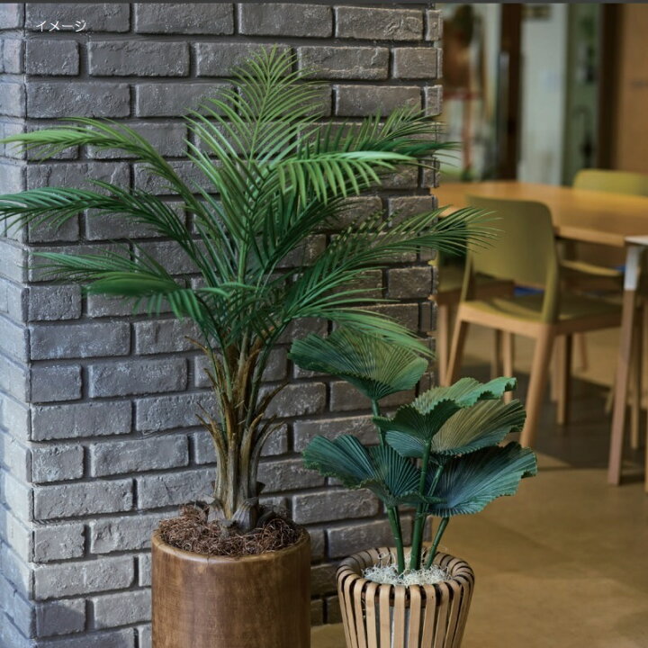 楽天市場】人工観葉植物 カナリーヤシ ポット 116（1個入り）MIRAKANA 