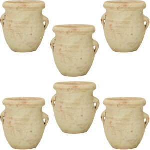 �ԁE�ϗt�A���p�|�b�g �`���j�W�A�� �~�j AM Teracotta POT �i6����j 15004 �ꌊ���� ��M�Ȃ� MIRAKANA �~�j�|�b�g �C���e���A �f�B�X�v���C�yMIRAKANA�z�ԁE�ϗt�A���p�|�b�g �`���j�W�A�� �~�j AM 