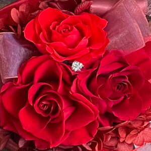 �v���U�[�u�h�t�����[ Presarved Arrangment�in10-1320�jS�T�C�Y 9�F����1�F��I�� �N���A�J�b�v�^ 1���� ����14cm �N���A�P�[�X���� �K�N �u���U�A�����W �M�t�g �C���e���A