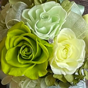 �v���U�[�u�h�t�����[ Presarved Arrangment�in10-1320�jS�T�C�Y 9�F����1�F��I�� �N���A�J�b�v�^ 1���� ����14cm �N���A�P�[�X���� �K�N �u���U�A�����W �M�t�g �C���e���A