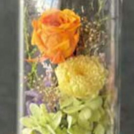 プリザーブドフラワー Funeral Preserved Arrangment（n10-1323）3色から1色を選択 ドーム型 1個入り 高さ18cm 箱入り 薔薇 ギフト お悔み花 お供え花 仏花