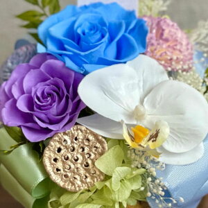 �v���U�[�u�h�t�����[ Funeral Preserved Arrangment�in10-1343�jL�T�C�Y 3�F����1�F��I�� �ی^ 1���� ����20cm �N���A�P�[�X���� �Ӓ������K�N �M�t�g �����݉� �������� ����