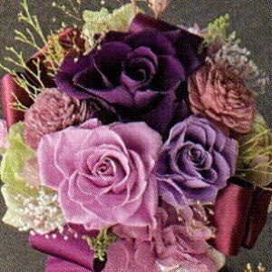 �v���U�[�u�h�t�����[ Presarved Arrangment�in10-1361�jL�T�C�Y 7�F����1�F��I�� �|�b�g�^ 1���� ����17.5cm �N���A�P�[�X���� �K�N �u���U�A�����W �M�t�g �C���e���A