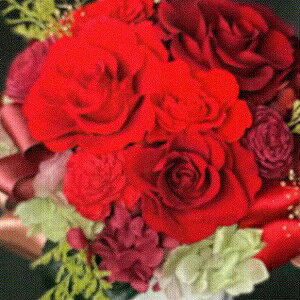 �v���U�[�u�h�t�����[ Presarved Arrangment�in10-1362�jLL�T�C�Y 4�F����1�F��I�� �|�b�g�^ 1���� ����29.5cm �N���A�P�[�X���� �K�N �u���U�A�����W �M�t�g �C���e���A