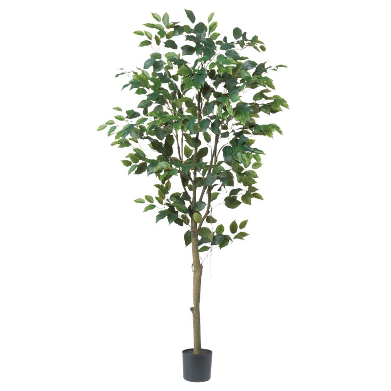 人工観葉植物 ファイカス （ポット付き） 高さ155cm （P278-a51043) （代引き不可） インテリアグリーン フェイクグリーン