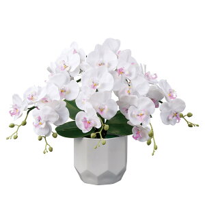 ~ 򕌒 ԃ^Cv Oh~iX STD [WӒ5{ 51cm (P25)(23834) FLED dCR[h ~ V~ ~