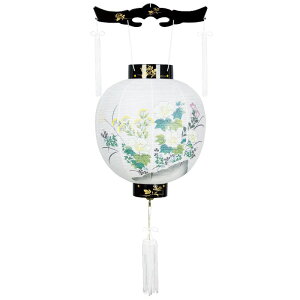 ~  ݂ a GG 11 85cm iP16)(8001-11110) E\N ~ ~