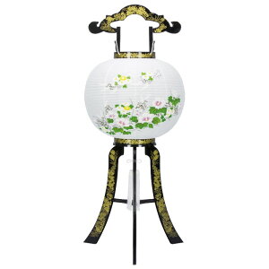 ~  u s ] Ԉ󎪊GG 11 81cm iP39)(8607-11714) dCR[h ~ ~