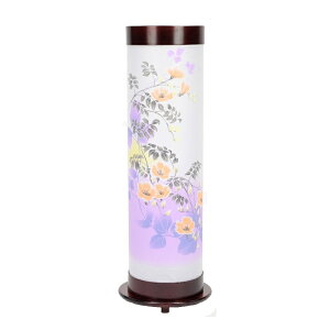 ~  n 胂_ ̂񂩂 55cm iP9)(8700-90025) u LEDdr ~ ~