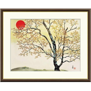 zG R t̒ f8Ef6Ef4TCY {̖V[Y Taikan gk-a5-j2009ip89j iJ2-009j isj { CeA