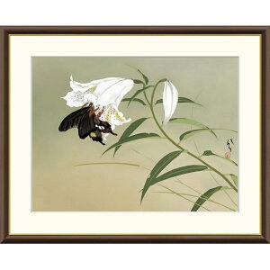 zG [q S f8Ef6Ef4TCY {̖V[Y Ryushi gk-a5-j2058ip99j iJ2-058j isj { CeA