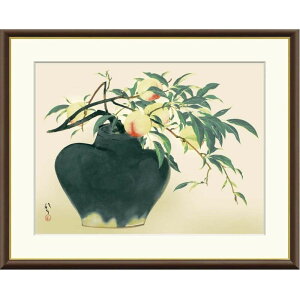 zG [q  f8Ef6Ef4TCY {̖V[Y Ryushi gk-a5-j2060ip99j iJ2-060j isj { CeA