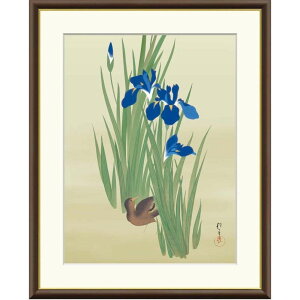 zG  qԂɐ{} f8Ef6Ef4TCY {̖V[Y Hoitsu gk-a5-j2082ip104j iJ2-082j isj { CeA