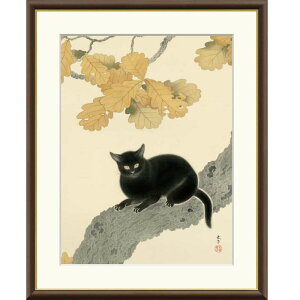 zG Hct L f8Ef6Ef4TCY {̖V[Y Shunso gk-a5-j2111ip110j iJ2-111j isj { CeA